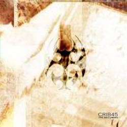 Crib45 : The Becoming